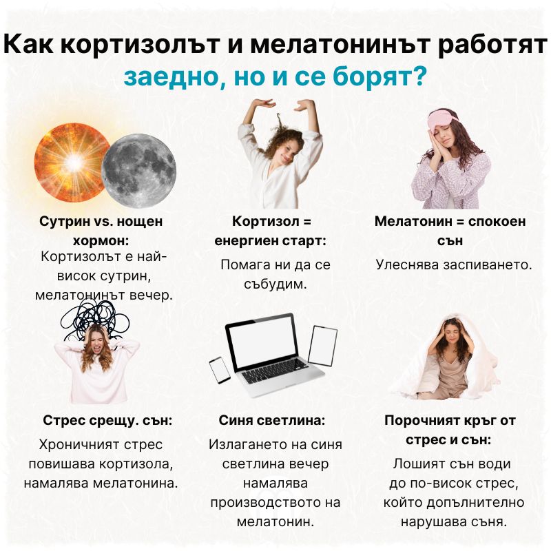(Bulharština) Jak spolu kortizol a melatonin spolupracují ale i bojují